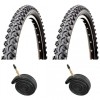 Raleigh AnnuPurna 26 x 1.95 MTB Bike Tyres + Optional Tubes